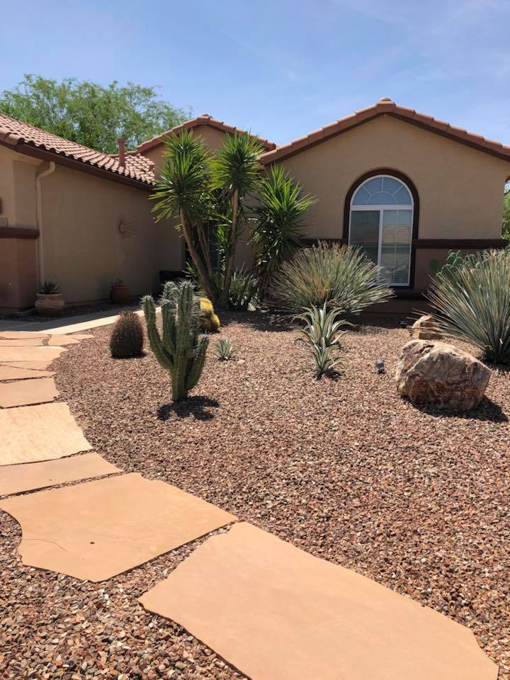 43403562_10213539848994143_4543175414540926976_n