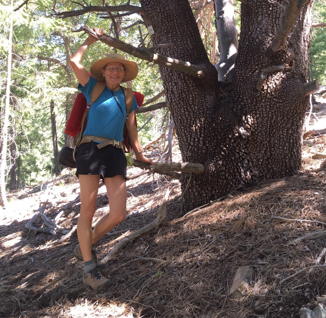 62525160_2817840591565216_5679717206665986048_o