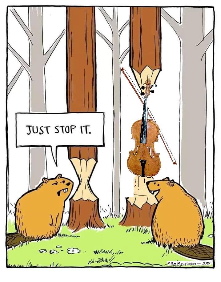 66326335_2308222299260262_4417206879902498816_n