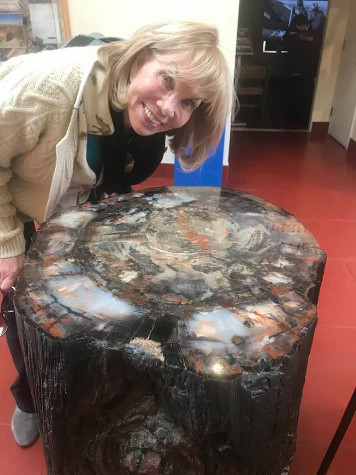 76771574_2249343125359915_5397448846416543744_n