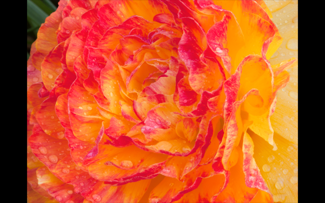 Screen Shot 2020-05-04 at 11.23.52 PM